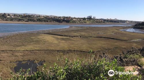 Upper Newport Bay Nature Preserve