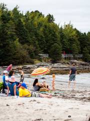 Eastport Beaches