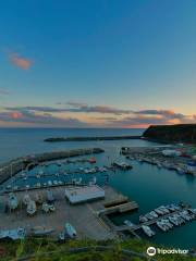 Harbor Village Marina