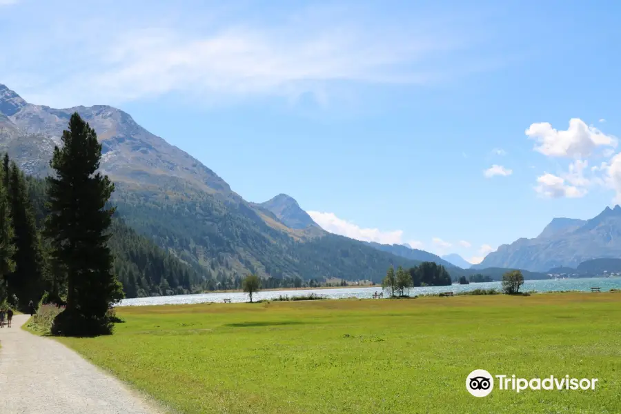 Lake Sils