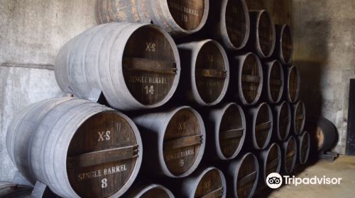 Bodegas Ximenez Spinola