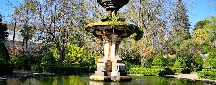 Jardim Botanico