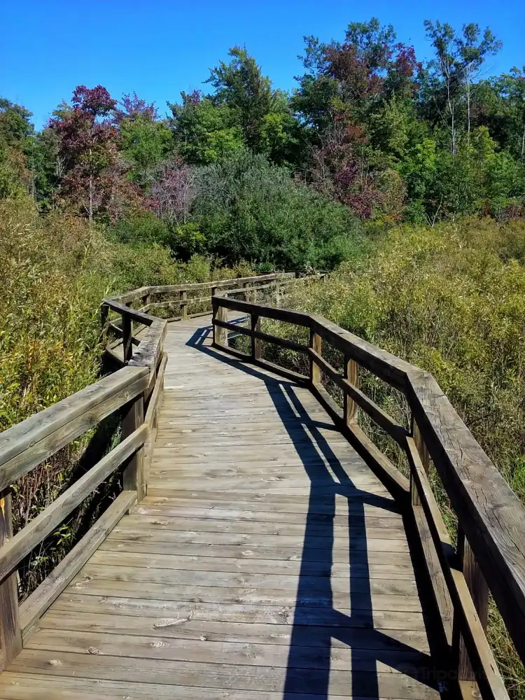 فنادق في Hume Township