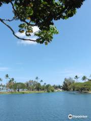 Wailoa River State Recreation Area