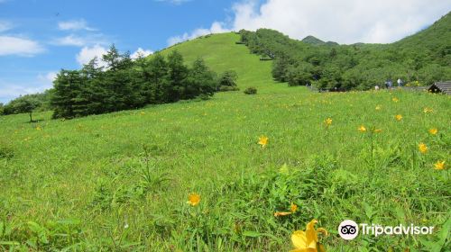 Nikko Kirifuri Kogen Kisuge Plains