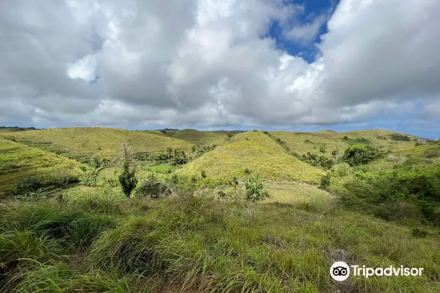 Teletubbies Hill