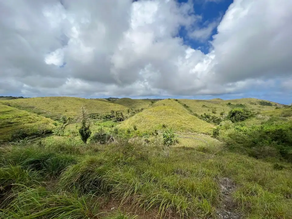 4_Teletubbies Hill