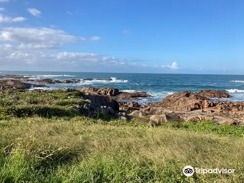 Boat Harbour Whale Watch Lookout