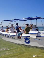 Sabino Boat Tours