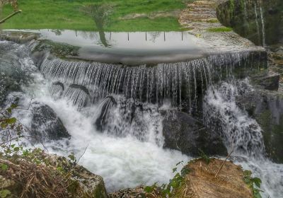 Fuente del Francés