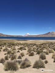 Parque Nacional Lauca