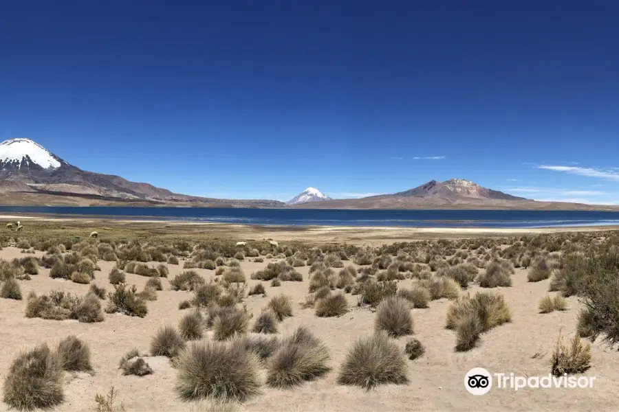 Parque Nacional Lauca