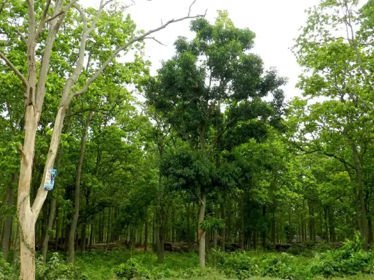 Hôtels à : Jangalmahal