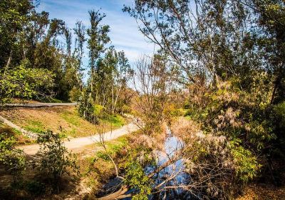 Laguna Niguel Regional Park