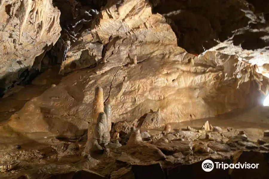 Bozkovské Dolomite Caves