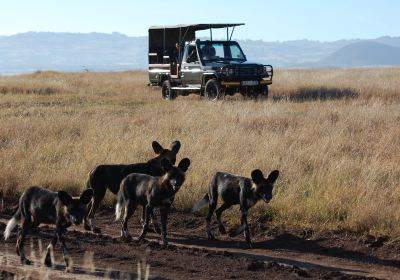 Isiolo