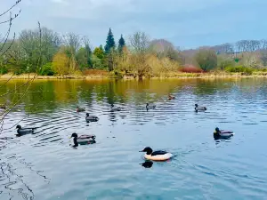 Seaton Park Aberdeen