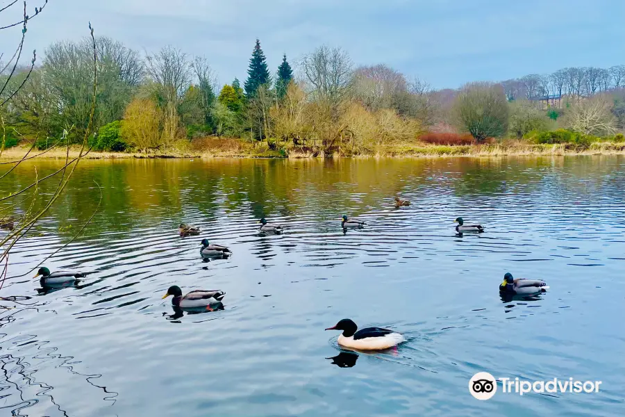 Seaton Park Aberdeen