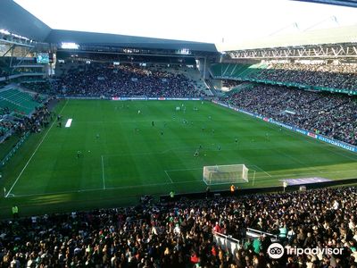Guichard Stadium
