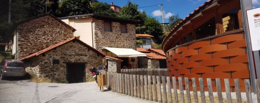 Wine Museum of Cangas del Narcea