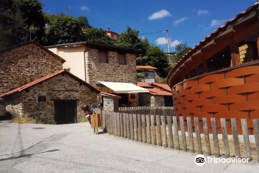 Wine Museum of Cangas del Narcea