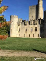 Chateau Fort de Roquetaillade