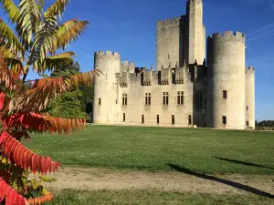 Castle Roquetaillade