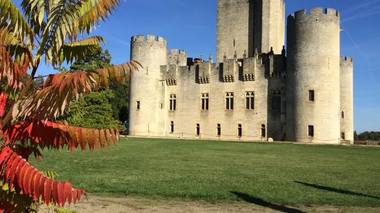 Castle Roquetaillade