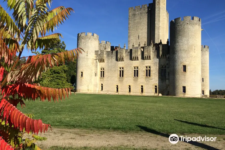 Castle Roquetaillade