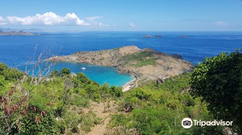 Colombier Beach