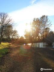 Horseshoe Lake