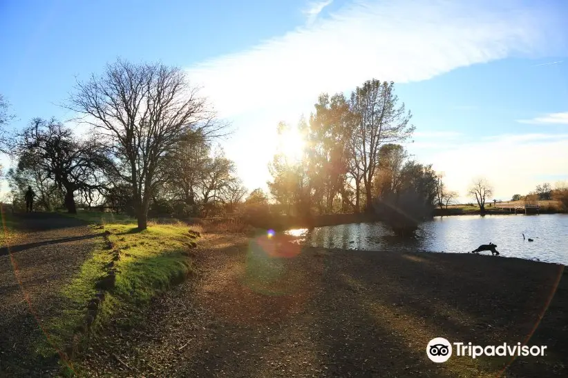 Horseshoe Lake