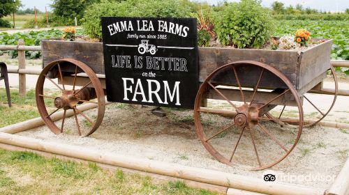 Emma Lea Farms