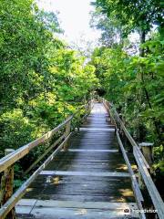 Parque Ecologico Janauari