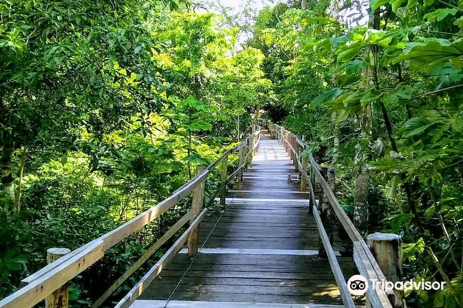 Parque Ecologico Janauari