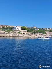 Yellow Catamarans