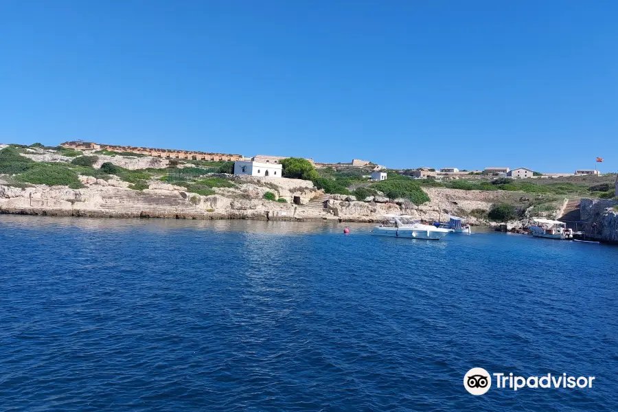 Yellow Catamarans