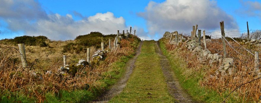 Inis Ní Loop