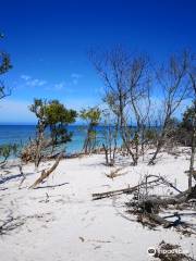 parc d'État de Honeymoon Island