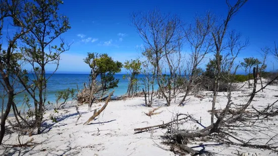 Honeymoon Island State Park