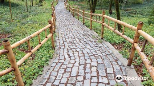 Kutaisi Botanical Garden