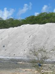 Refugio Nacional de Vida Silvestre de Cabo Rojo