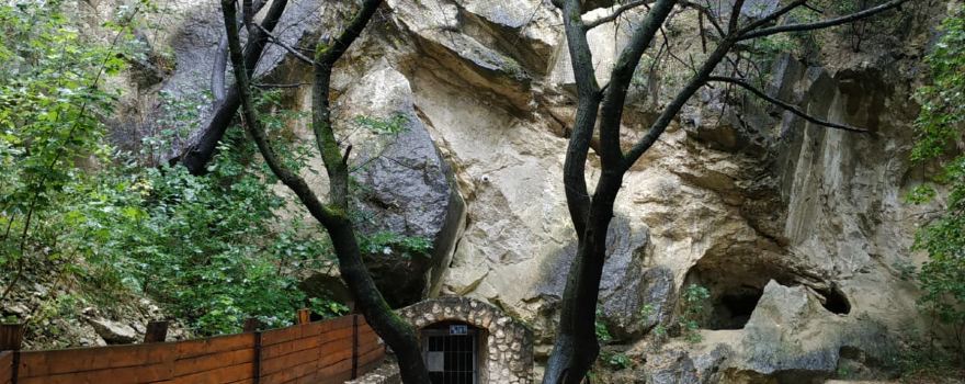 Cave Turold