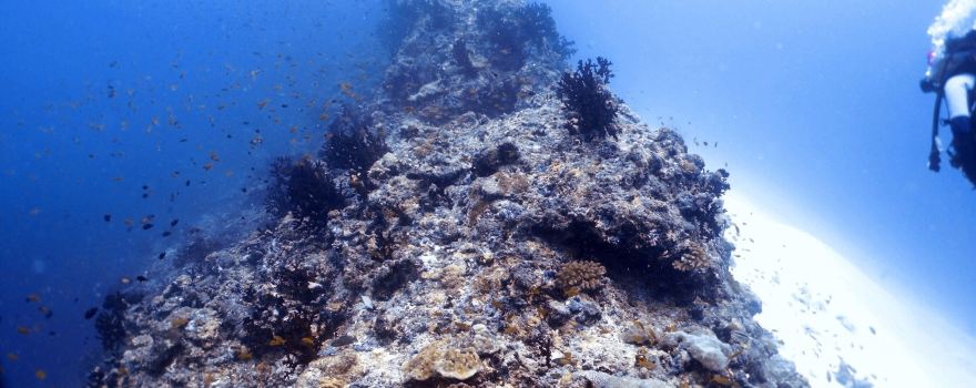 Rasdhoo Dive Club