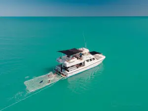 Broome Whale Watching