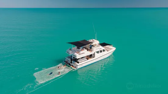 Broome Whale Watching