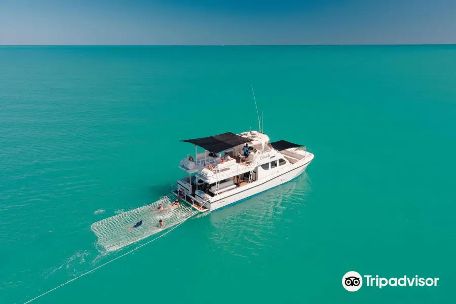 Broome Whale Watching