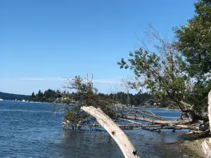 Kopachuck State Park