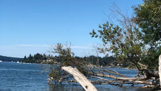 Kopachuck State Park