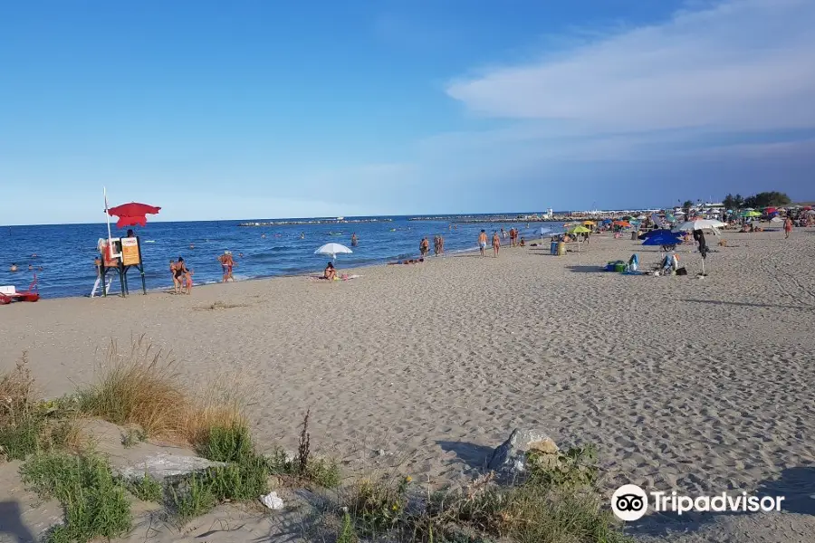 Spiaggia Libera Lido di Classe